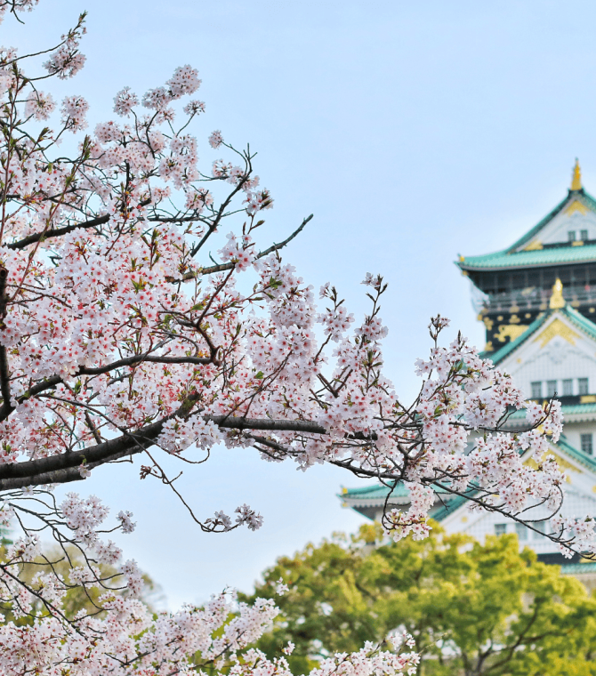 Handpicked Experiences in Japan